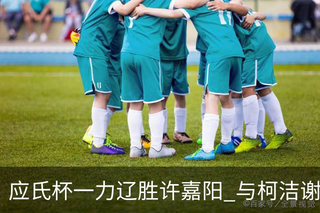 应氏杯一力辽胜许嘉阳 与柯洁谢科许皓鋐进4强